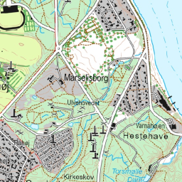 Rødtoppet Fuglekonge - Forstbotanisk Have Århus - 23-05-2023 -